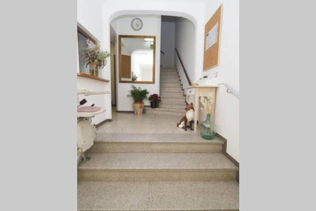 Apartaments Sa Calm Les Roques Del Rei Sant Hilari Sacalm Exterior photo